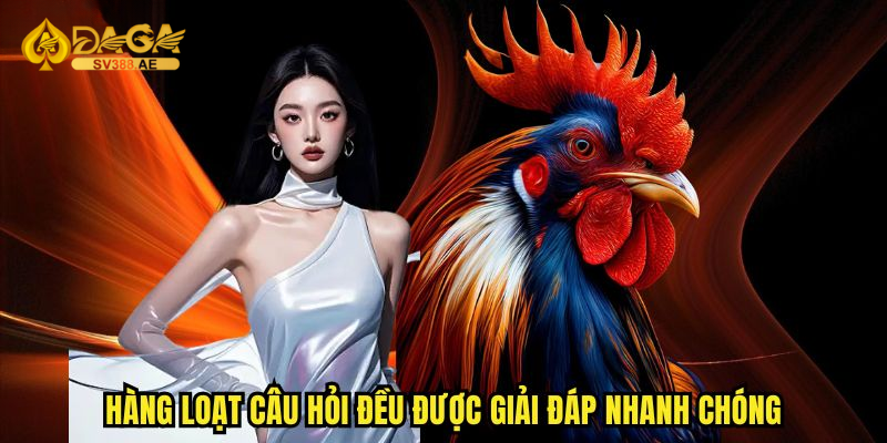 Hướng Dẫn Sv388