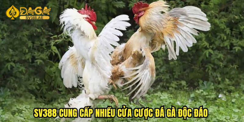 Đá gà online sv388